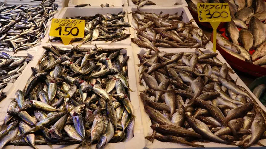 Tezgahta çeşitlilik ve bolluk var: İlk tercih edilen balık 