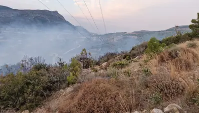 Silifke'de orman yangını