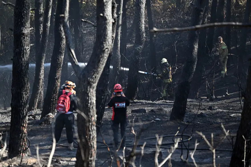 İstanbul Maltepe'de orman yangını 20