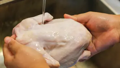 Tavuğun en faydalı yeri neresi?