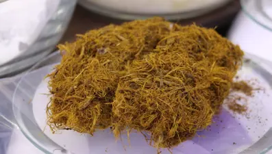 Uzmanı uyardı: Şifa kaynağı ama fazla tüketildiğinde zararı çok