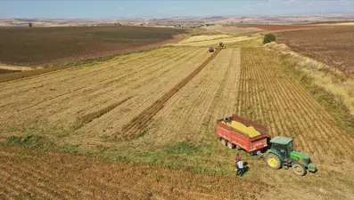 Bitkisel üretimde desteklemeler belli oldu