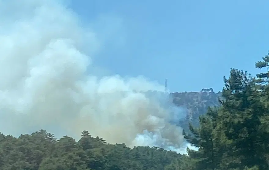 Denizli'de orman yangını: Havadan ve karadan müdahale başladı 