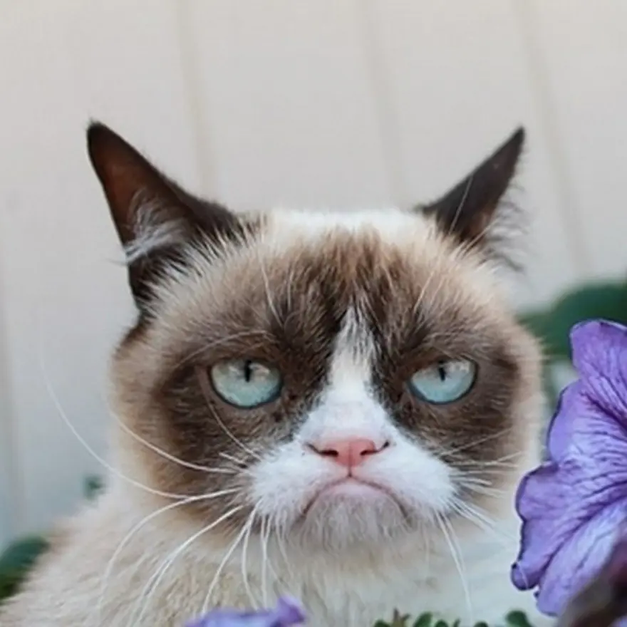 Poz verme sanatı 35