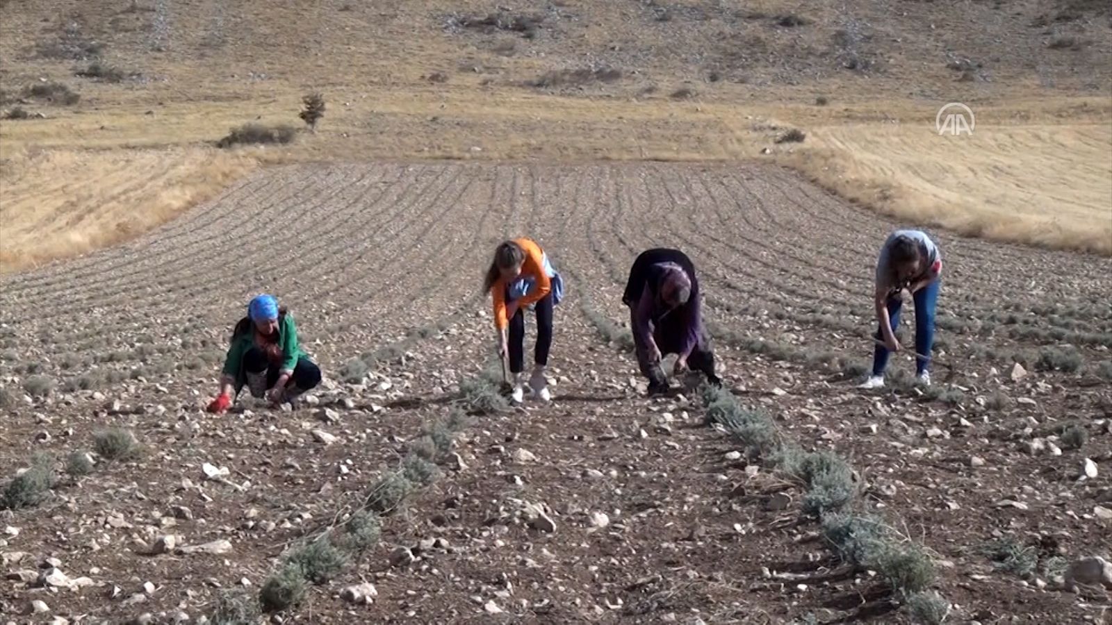 Susuz tarım için ABD'den Burdur'a geldi