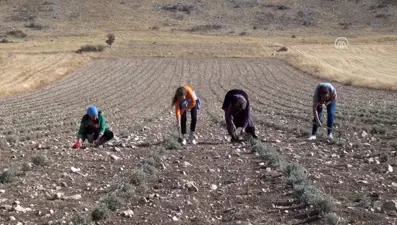 Susuz tarım için ABD'den Burdur'a geldi