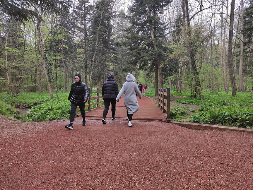 Belgrad Ormanı'nın işletmesi İBB'den alındı: Bakanlıktan açıklama