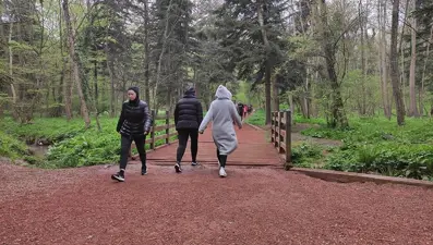 Belgrad Ormanı'nın işletmesi İBB'den alındı: Bakanlıktan açıklama