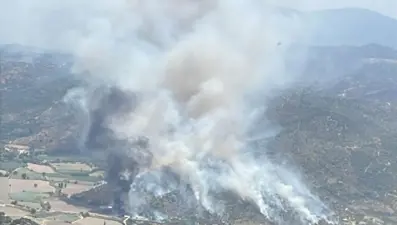 Aydın, Edirne ve Manisa'da yangın