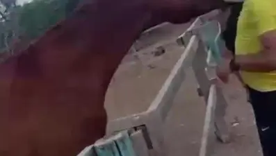 At babasının kucağındaki çocuğu havaya fırlattı