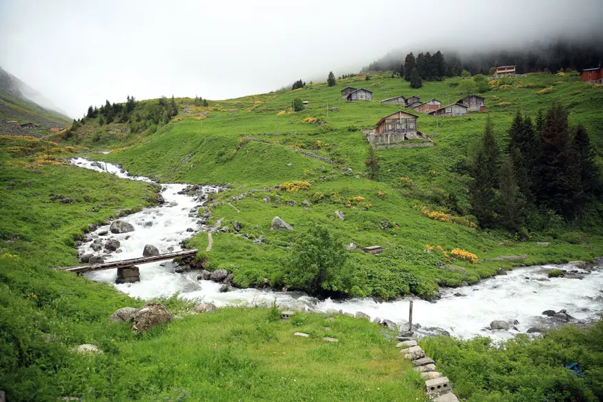 elevit yaylası, doğu karadeniz yaylaları, rize yaylaları, en güzel yaylalar 12