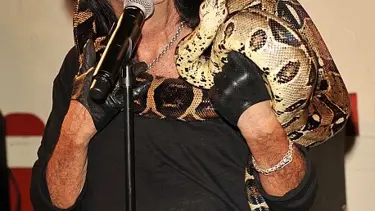 Bir geceliğine rock yıldızı