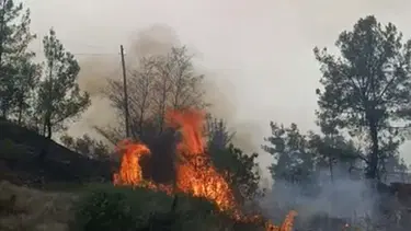 Denizli'de orman yangını: 7 hektar alan zarar gördü