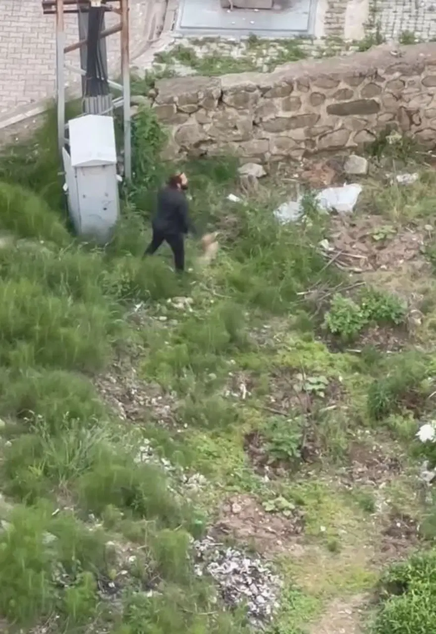 Trabzon’davahşet: Yavru kediyi ezerek öldürdü, defalarca tekmeleyip fırlattı 4