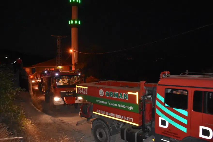 Sinop'ta orman yangını: Alevler kontrol altına alındı 2 Sinop'ta orman yangını: Alevler kontrol altına alındı 2