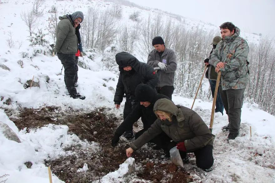 Anadolu'da varlığı sona ermişti! Avrupa'dan Amasya'ya getirildi: Türk uzmanlar 30 yıldır peşinde 8