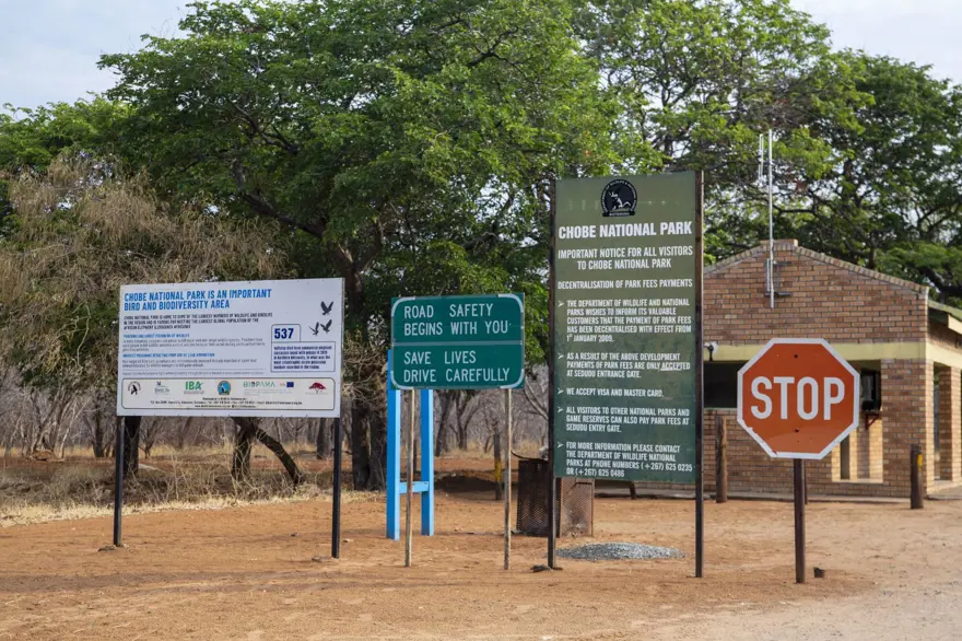 Afrika'nın fil cenneti: Chobe Ulusal Parkı 13
