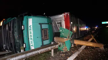 Tepişen inekler TIR'a kaza yaptırdı