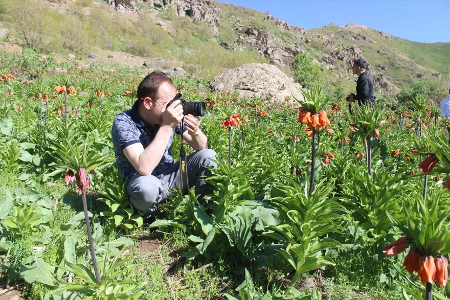 Hakkari'de 'ağlayan gelinler' ziyaretçi akınına uğruyor 2