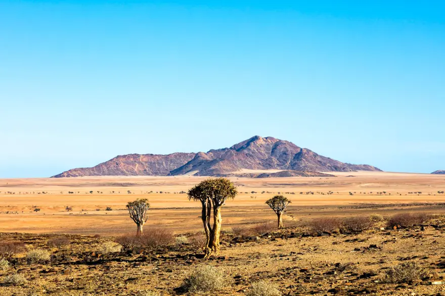 İnsanlar tarafından kullanılan 105 bin yıllık ilk taş örnekleri Kalahari Çölü’nde bulundu 4