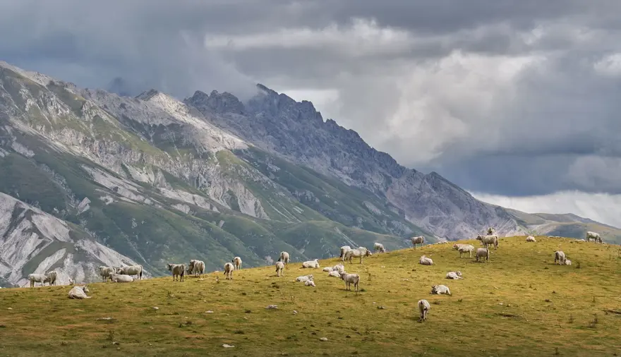 İtalya’da 1 Euro’ya evler satışa çıktı: 630 binadan 250'si satılıyor 37