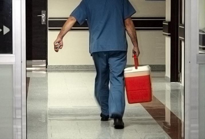Organ bağışında yeni dönem: e-Devlet ve e-Nabız'dan yapılabilecek