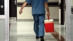 Organ bağışında yeni dönem: e-Devlet ve e-Nabız'dan yapılabilecek Organ bağışında yeni dönem: e-Devlet ve e-Nabız'dan yapılabilecek