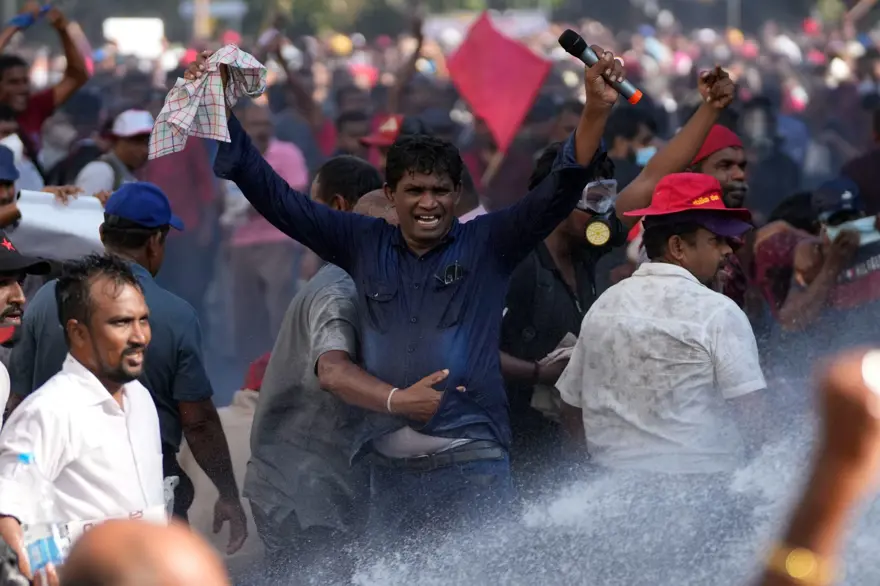 Sri Lanka'da ekonomik kriz: 100 bin makak maymununu satıyor 6