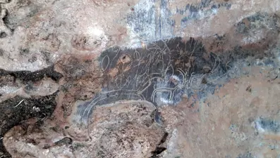 Mersin'deki mağarada 8 bin yıllık kaya resimleri bulundu