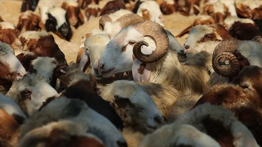 BAYRAM TATİLİ 9 GÜN MÜ OLACAK? 2