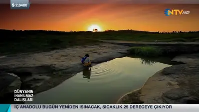 Yasemin Dalkılıç ile Dünyanın İnanılmaz Dalışları (2. Bölüm)