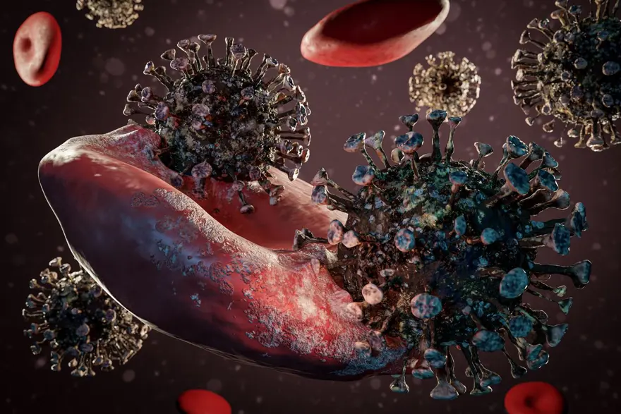 Araştırma: Omicron’un alt varyantı ciddi hastalıklara neden oluyor 6 Araştırma: Omicron’un alt varyantı ciddi hastalıklara neden oluyor 6