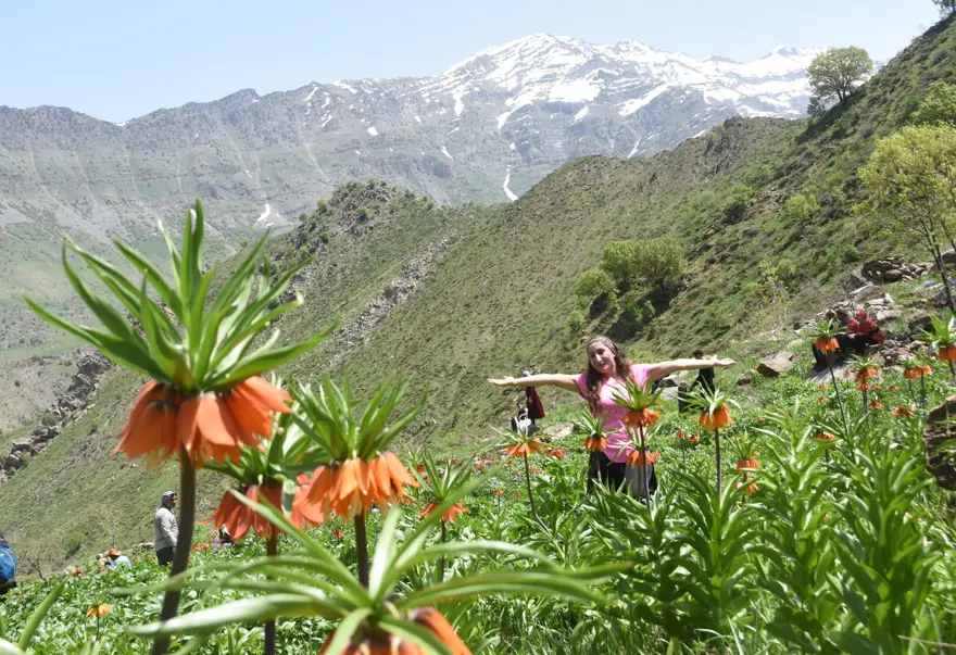 Hakkari dağlarında 'ters lale' buluşması 21