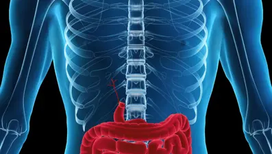 Nedeni belirlenemeyen hastalıkların temelinde mikrobiyota bozukluğu olabilir!