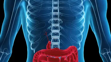 Nedeni belirlenemeyen hastalıkların temelinde mikrobiyota bozukluğu olabilir!