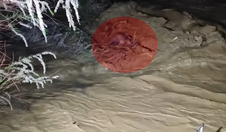 Taşan çayın sularına kapıldı. 4 saatlik operasyonla kurtarıldı