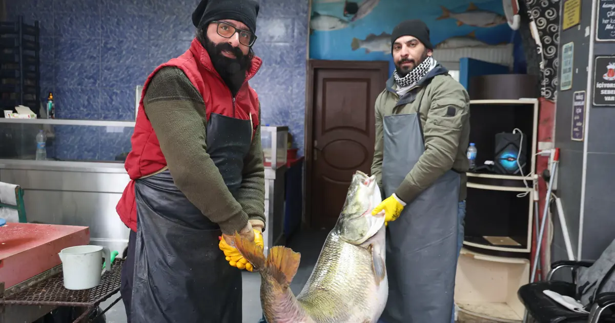 Bu balığı iki kişi zor taşıdı. 39 bin lira değerindeki dev turna Elazığ'da yakalandı