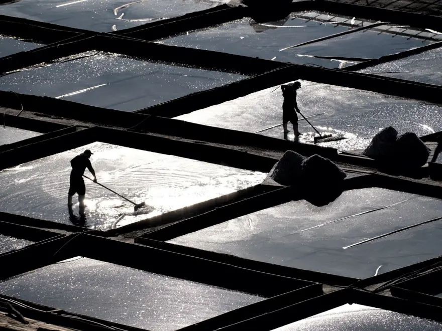 Magnezyum, mineral, potasyum zengini: Dağlardan sofralara geliyor Magnezyum, mineral, potasyum zengini: Dağlardan sofralara geliyor