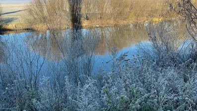 Hava sıcaklığı gece eksi 10 dereceye düştü, kırağı oluştu