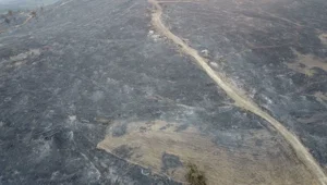 Çanakkale'de yanan alanlar havadan görüntülendi Çanakkale'de yanan alanlar havadan görüntülendi