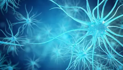 ALS hastalığı nedir, nasıl olur? (Amyotrofik Lateral Skleroz belirtileri nelerdir?)