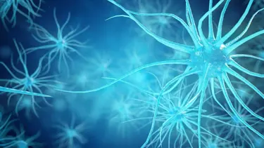 ALS hastalığı nedir, nasıl olur? (Amyotrofik Lateral Skleroz belirtileri nelerdir?)