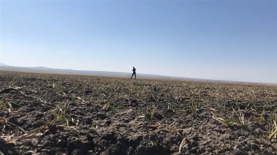 Kuyucuk Gölü Kuş Cenneti tamamen kurudu 1