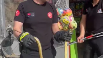 Düzce'de markette yılan paniği