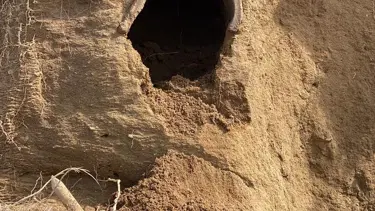 Çanakkale Bozcaada'da bin 500 yıllık kiremit mezar