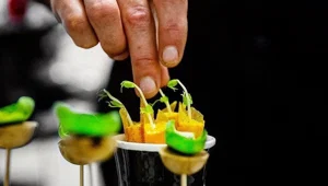 Fransa'da ilk defa bir vegan restoranı Michelin yıldızı kazandı Fransa'da ilk defa bir vegan restoranı Michelin yıldızı kazandı