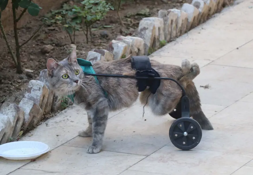 "KENDİM ATÖLYEMDE TASARLAYIP YAPTIM" 6