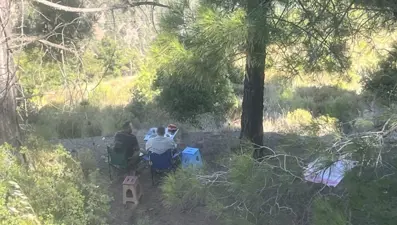 Mersin'de ormanda piknik yapan 4 kişiye para cezası