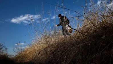 Ayvalık'taki Güneş Adası'nda mahsur kalan 65 düzensiz göçmen kurtarıldı