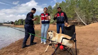 Jandarmanın takip köpeği "Dost" emekliye ayrıldı